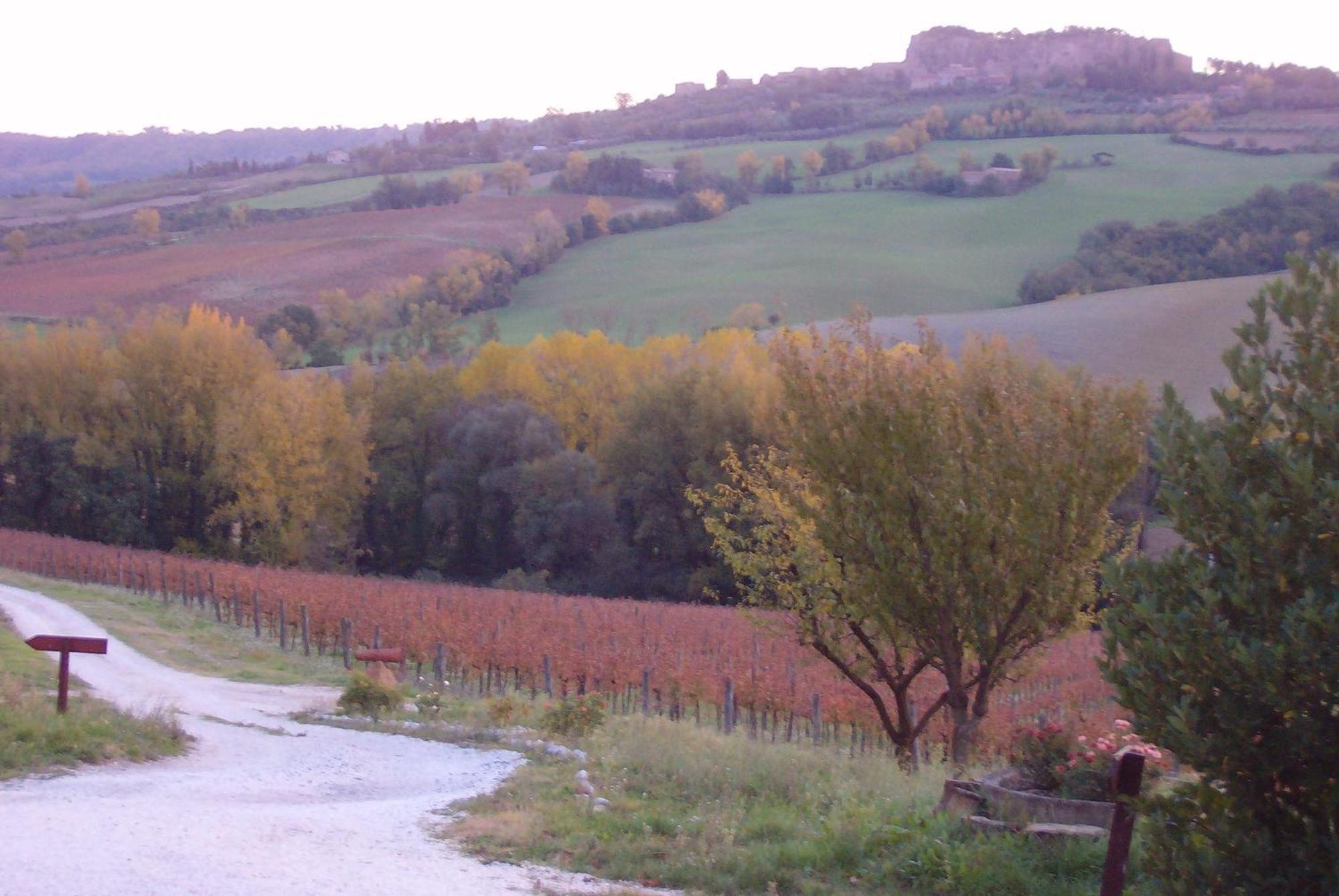 Agriturismo Cioccoleta Orvieto Luaran gambar