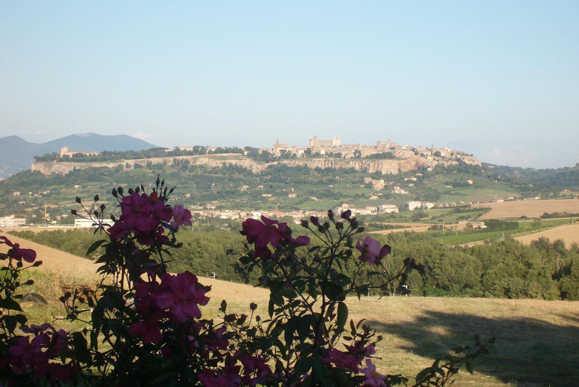 Agriturismo Cioccoleta Orvieto Luaran gambar
