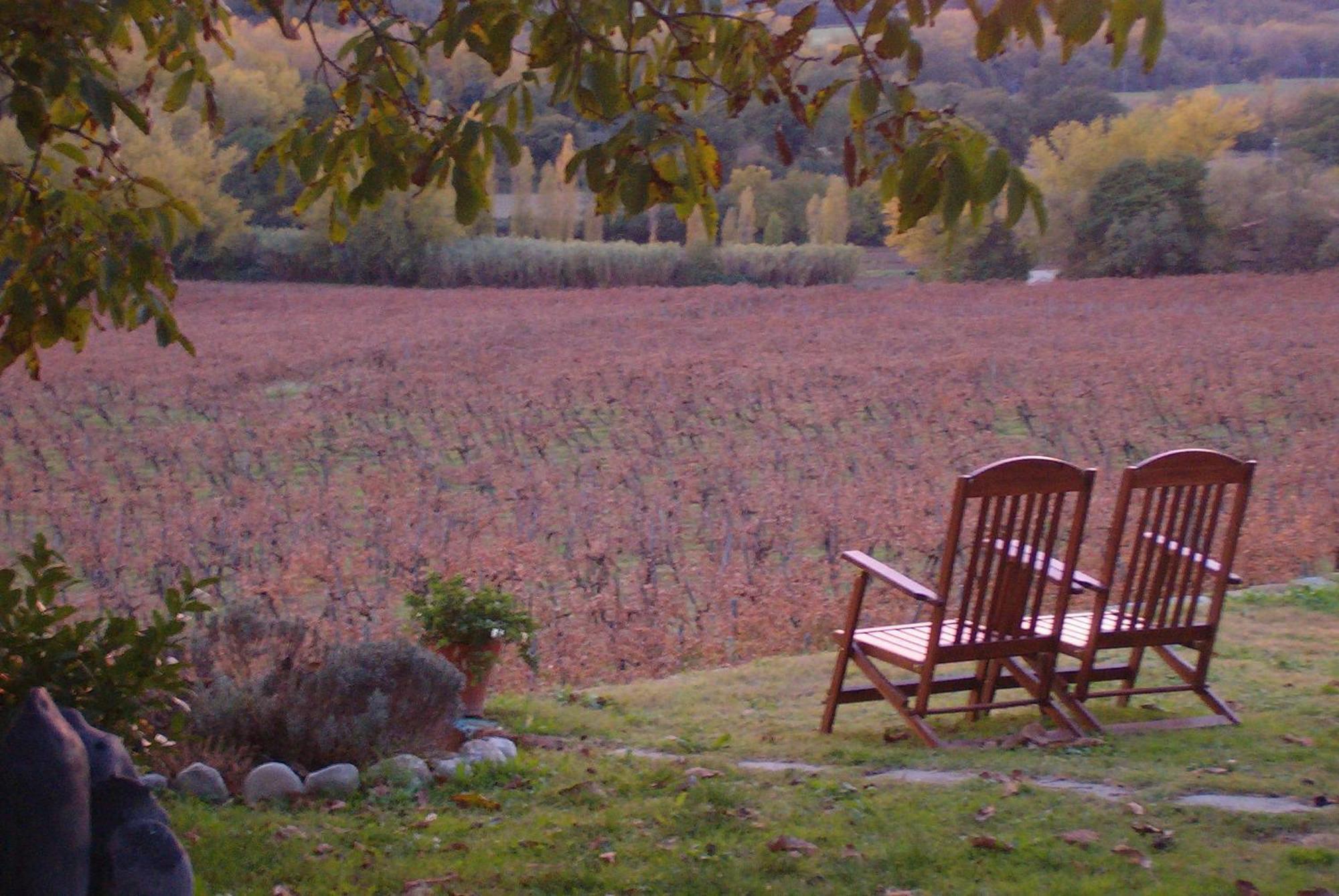 Agriturismo Cioccoleta Orvieto Luaran gambar