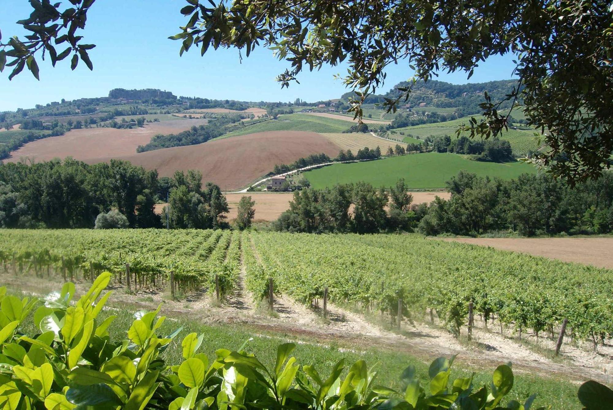 Agriturismo Cioccoleta Orvieto Luaran gambar