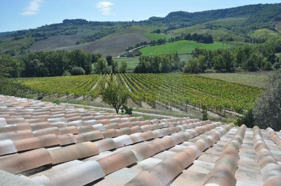 Agriturismo Cioccoleta Orvieto Luaran gambar